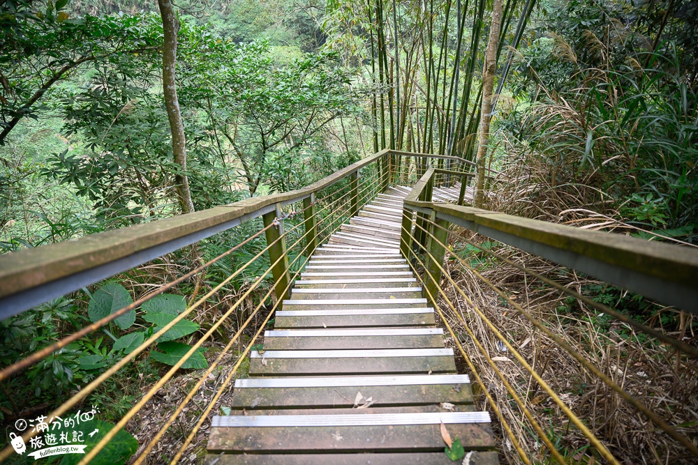 南投景點【竹山天梯.竹山地心谷】全台最震撼的梯子吊橋,走吊橋看瀑布,大自然山谷之美!