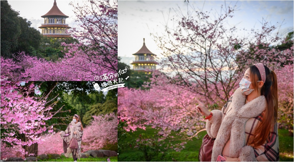 2022過年走春哪裡玩！超過20個過年景點，賞櫻花.看花燈.迎財神.拜土地公~從北玩到南都精彩!