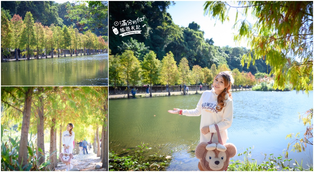 桃園戶外景點懶人包|超過30個桃園森林系景點|天空步道.森林吊橋.蝙蝠洞.高山熱氣球|喘口氣~聽見大自然的聲音!