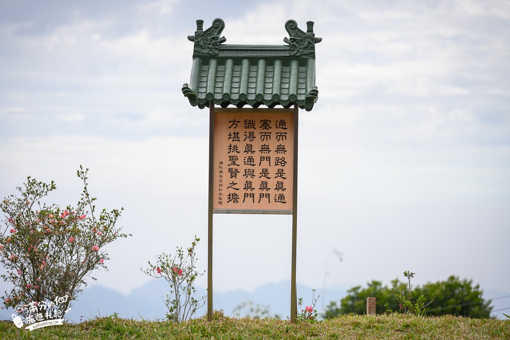 【2024嘉義阿里山彌陀襌寺】櫻花季攻略,八重櫻,浪漫桃紅佳人齊放.夢幻櫻花大道!