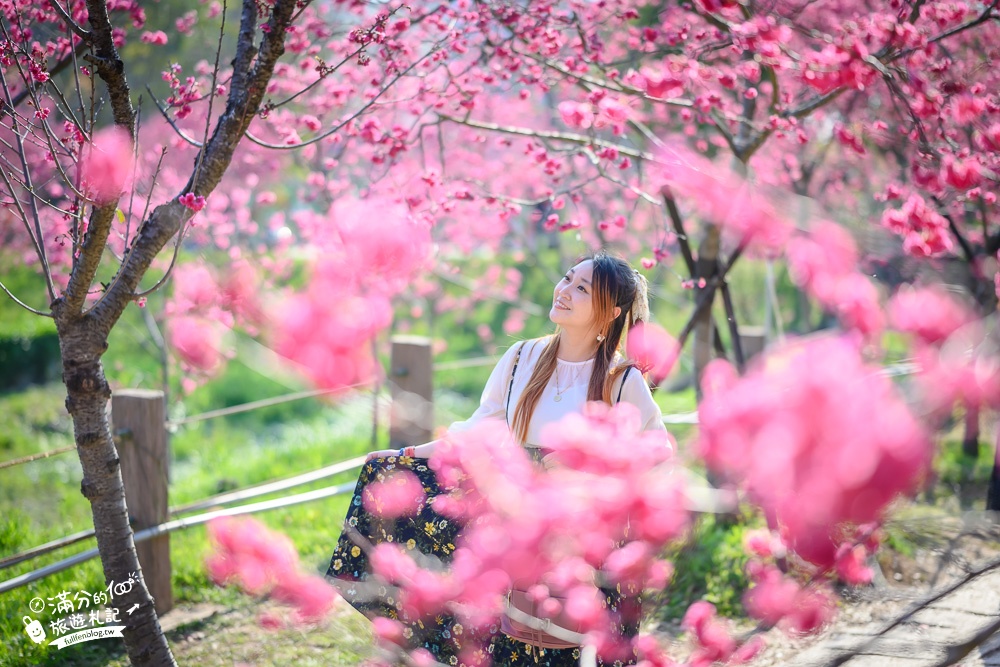 【2024台中中科崴立櫻花公園】免門票賞櫻秘境,八重櫻.山櫻花.綠萼櫻~漫遊百櫻齊放的賞櫻步道，順遊景點攻略！