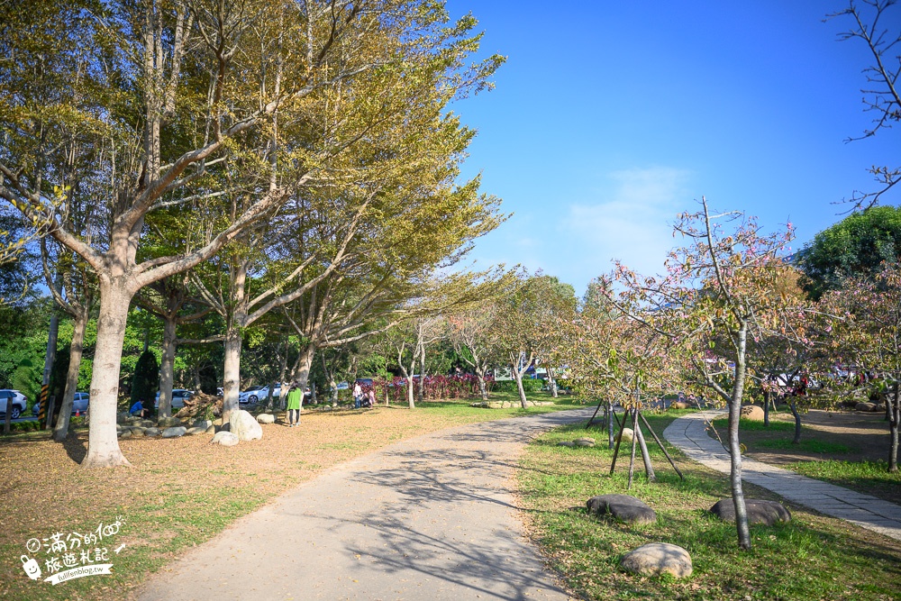 【2024台中中科崴立櫻花公園】免門票賞櫻秘境,八重櫻.山櫻花.綠萼櫻~漫遊百櫻齊放的賞櫻步道，順遊景點攻略！