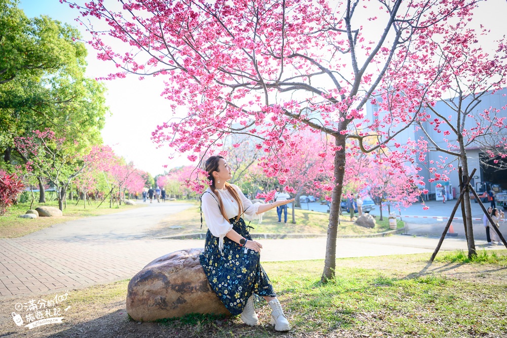 【2024台中中科崴立櫻花公園】免門票賞櫻秘境,八重櫻.山櫻花.綠萼櫻~漫遊百櫻齊放的賞櫻步道，順遊景點攻略！