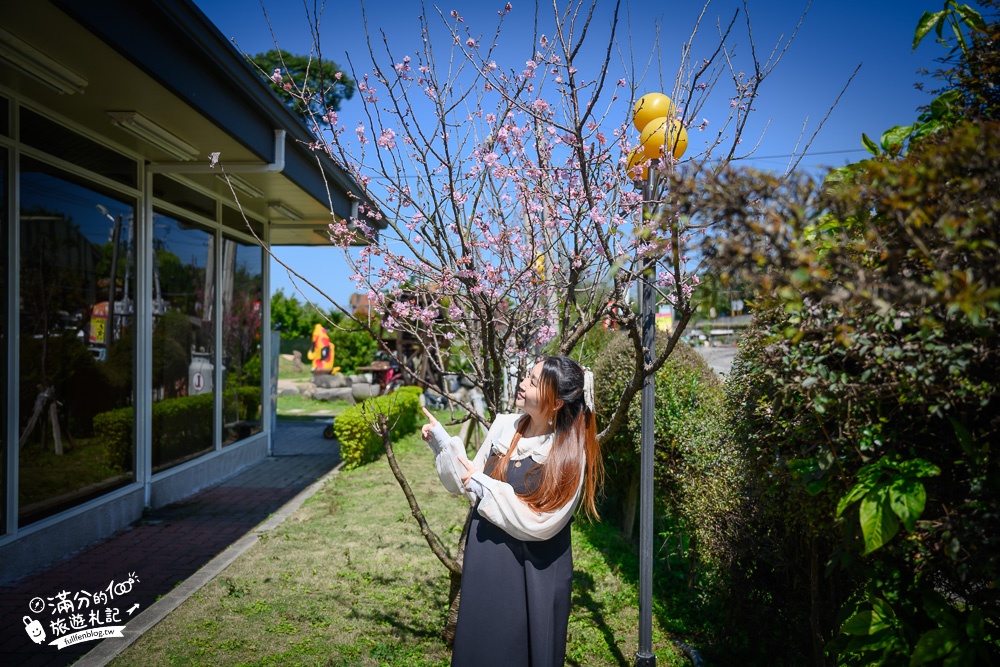 苗栗景點|綺緣樟腦精油觀光工場(免門票)泡腳.泡茶.玩DIY~客家甕牆超好拍!