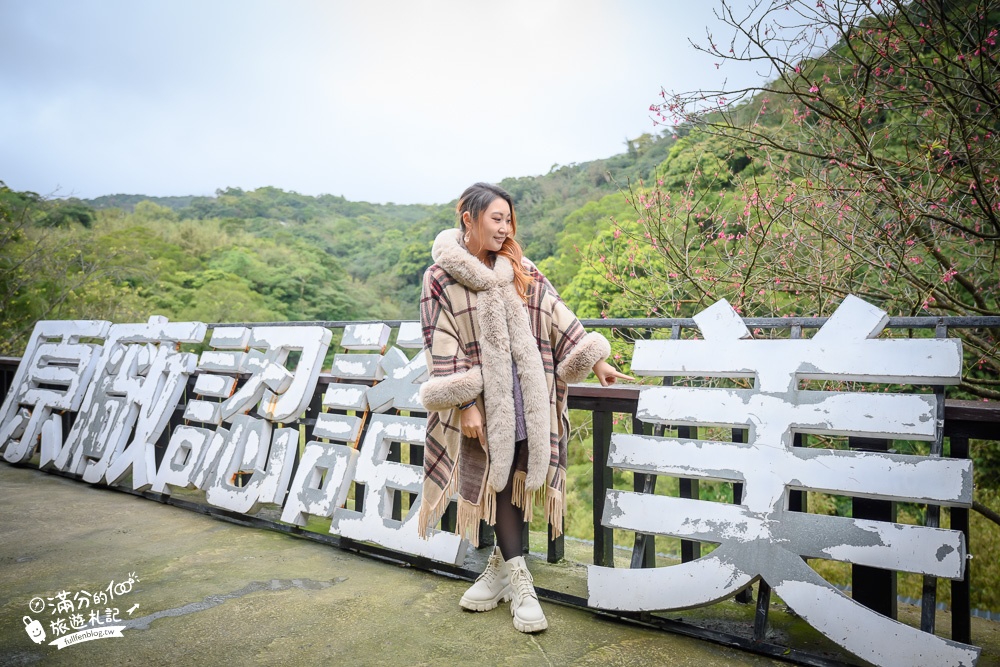 台北景點|陽明山野人花園|植物系咖啡館.台北下午茶|網美約會景點~森林裡的玻璃花屋!