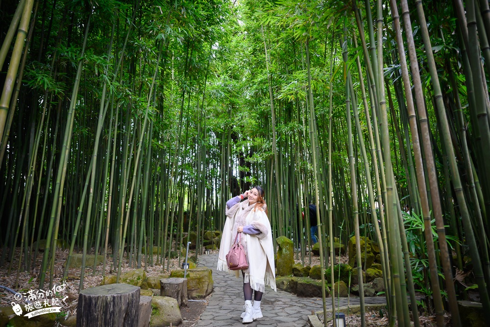 台北景點|豆留森林咖啡|陽明山庭院餐廳.昭和日式老宅|一秒到日本，走進竹林秘境!