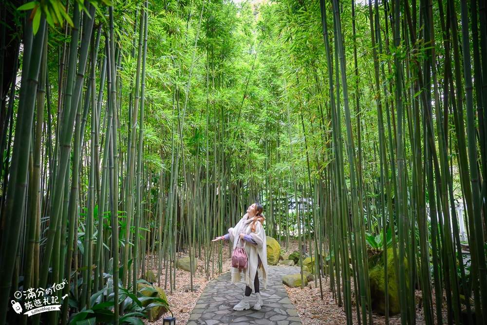 台北景點|豆留森林咖啡|陽明山庭院餐廳.昭和日式老宅|一秒到日本，走進竹林秘境!