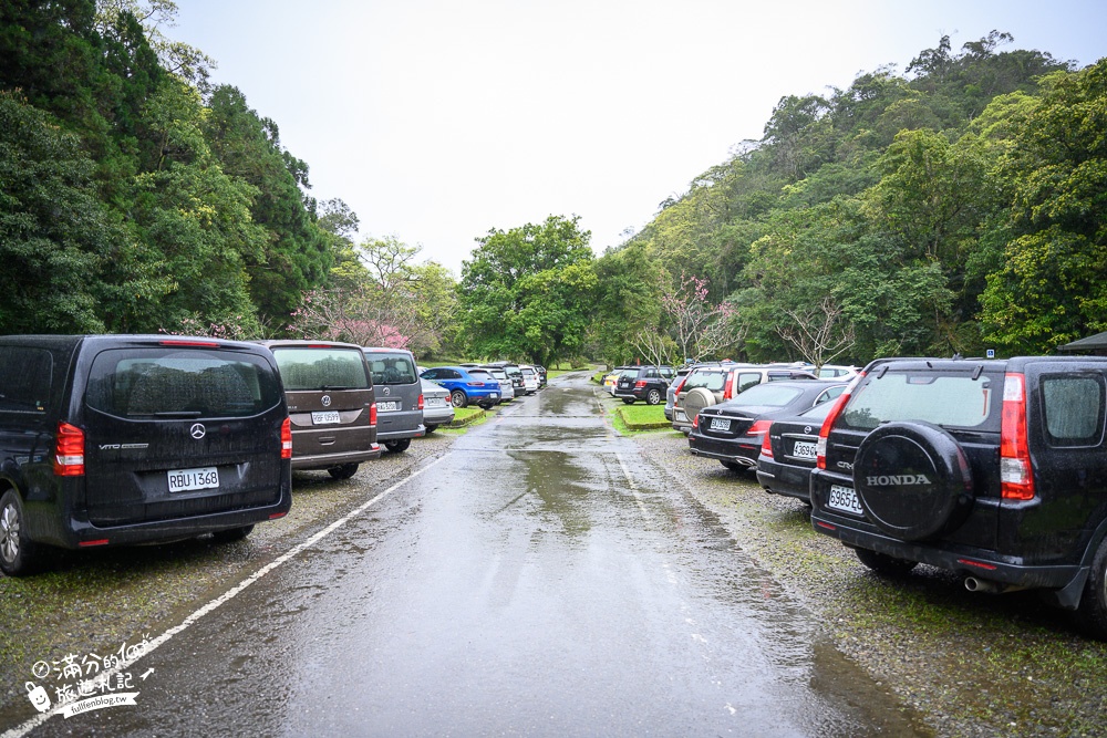 宜蘭景點【福山植物園】免門票.最新預約方式,水上步道.看藍腹鷴.山羌.山豬.台灣獼猴,森林仙境好忘憂!