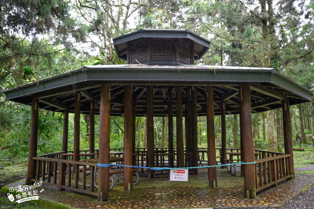 宜蘭景點【福山植物園】免門票.最新預約方式,水上步道.看藍腹鷴.山羌.山豬.台灣獼猴,森林仙境好忘憂!