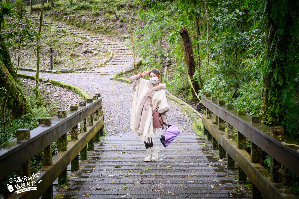 宜蘭景點【福山植物園】免門票.最新預約方式,水上步道.看藍腹鷴.山羌.山豬.台灣獼猴,森林仙境好忘憂!