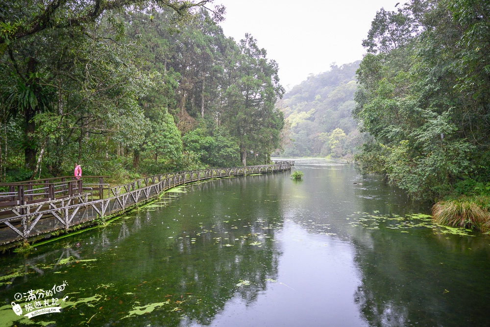 宜蘭景點【福山植物園】免門票.最新預約方式,水上步道.看藍腹鷴.山羌.山豬.台灣獼猴,森林仙境好忘憂!