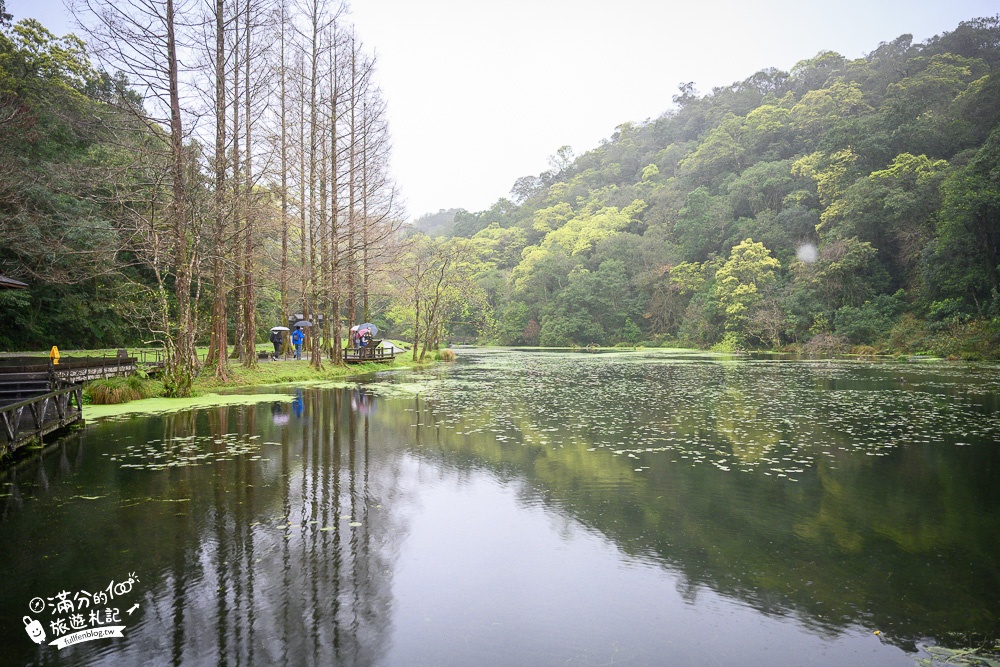 宜蘭景點【福山植物園】免門票.最新預約方式,水上步道.看藍腹鷴.山羌.山豬.台灣獼猴,森林仙境好忘憂!