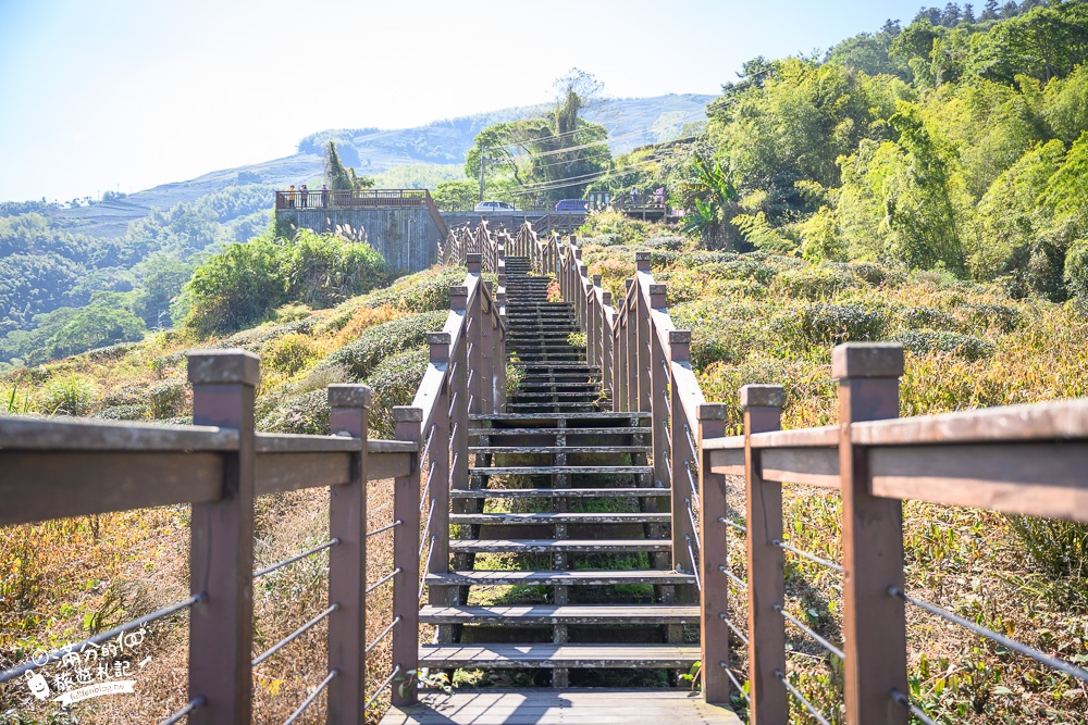 嘉義景點|太興岩步道(免門票)望群山.看茶田.綿延木棧道~超輕鬆，來回不用10分鐘!