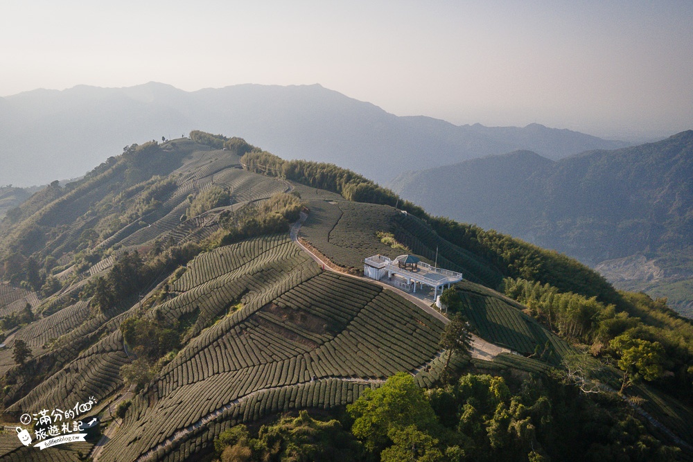 嘉義景點【海鼠山1314觀景台】免門票全台最美抹茶田.必拍愛情塔,免步行~360度茶田風光盡收眼底!