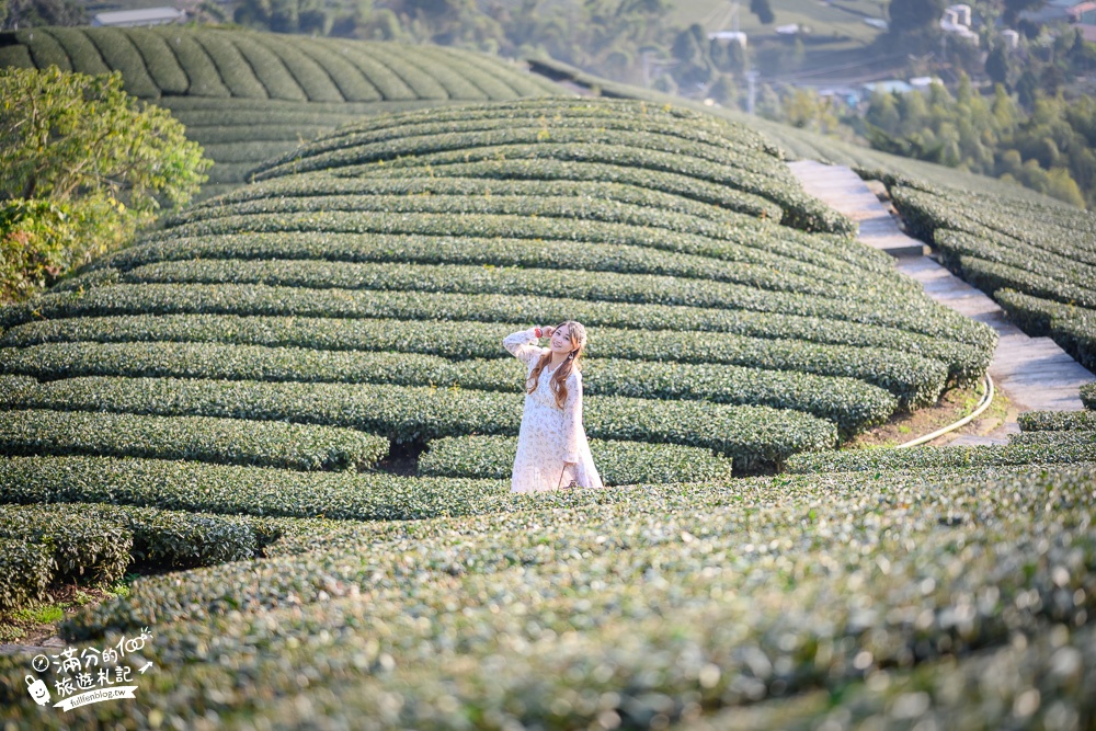 嘉義景點【海鼠山1314觀景台】免門票全台最美抹茶田.必拍愛情塔,免步行~360度茶田風光盡收眼底!