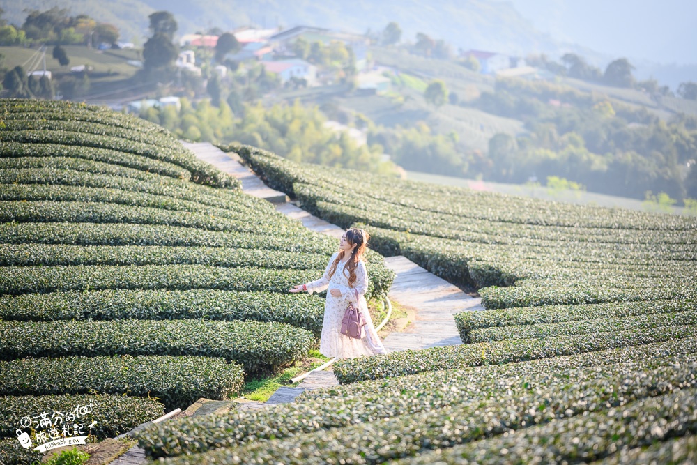 嘉義景點【海鼠山1314觀景台】免門票全台最美抹茶田.必拍愛情塔,免步行~360度茶田風光盡收眼底!