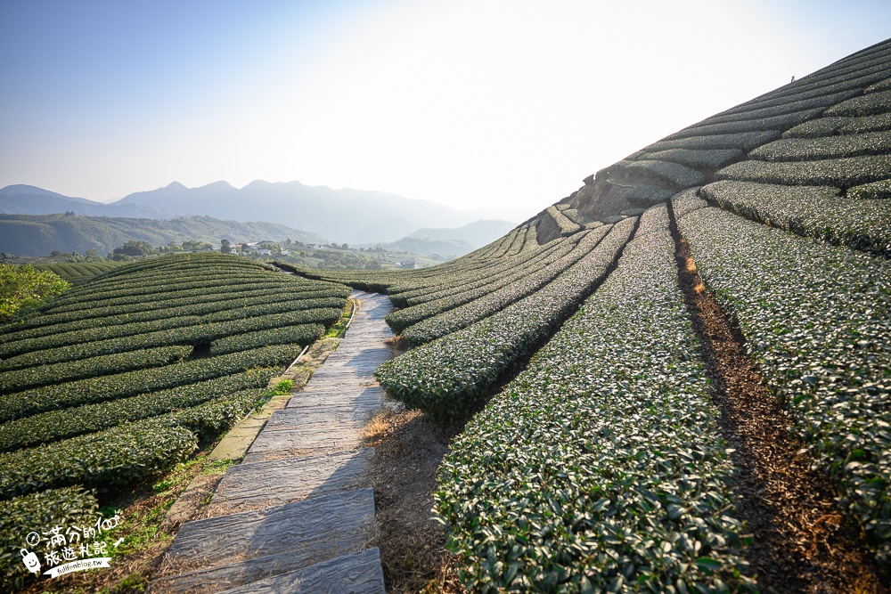 嘉義景點【海鼠山1314觀景台】免門票全台最美抹茶田.必拍愛情塔,免步行~360度茶田風光盡收眼底!