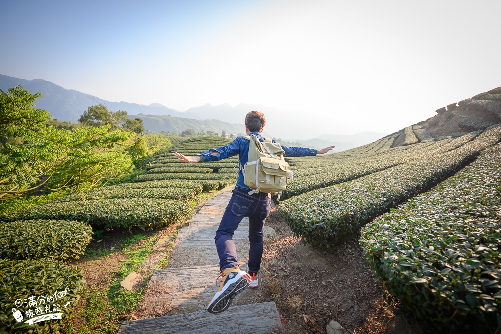 嘉義景點【海鼠山1314觀景台】免門票全台最美抹茶田.必拍愛情塔,免步行~360度茶田風光盡收眼底!