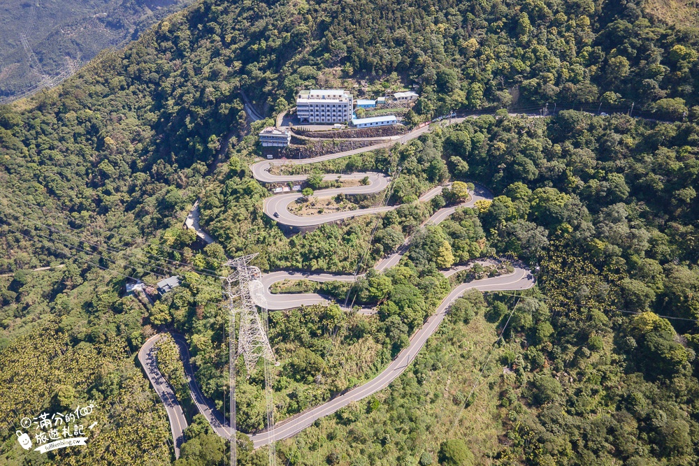 【2024梅山太平雲梯最新玩法】走吊橋.望茶田.逛老街.嘉義海拔最高最美天空步道, 帶你漫步在雲端!