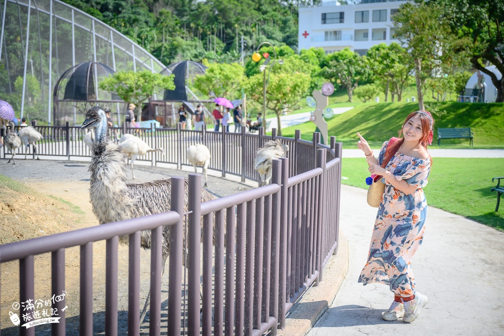 【2024南投九九峰動物樂園】亞洲規模最大鳥類主題王國玩樂攻略門票整理,鸚鵡.白鹈鹕.大恐龍陪你玩生態!