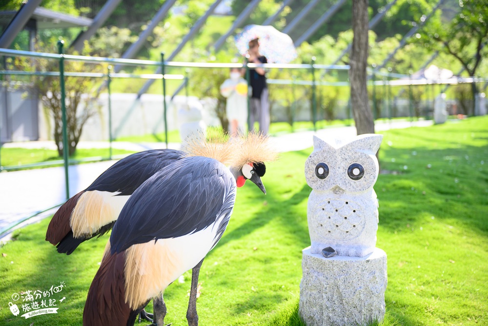 【2024南投九九峰動物樂園】亞洲規模最大鳥類主題王國玩樂攻略門票整理,鸚鵡.白鹈鹕.大恐龍陪你玩生態!