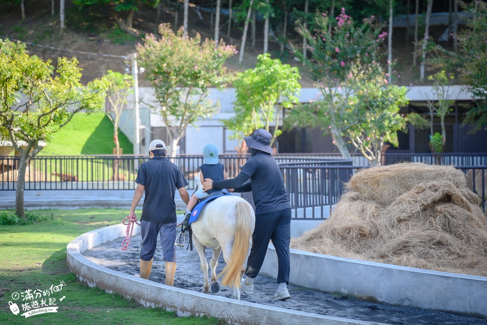 【2024南投九九峰動物樂園】亞洲規模最大鳥類主題王國玩樂攻略門票整理,鸚鵡.白鹈鹕.大恐龍陪你玩生態!