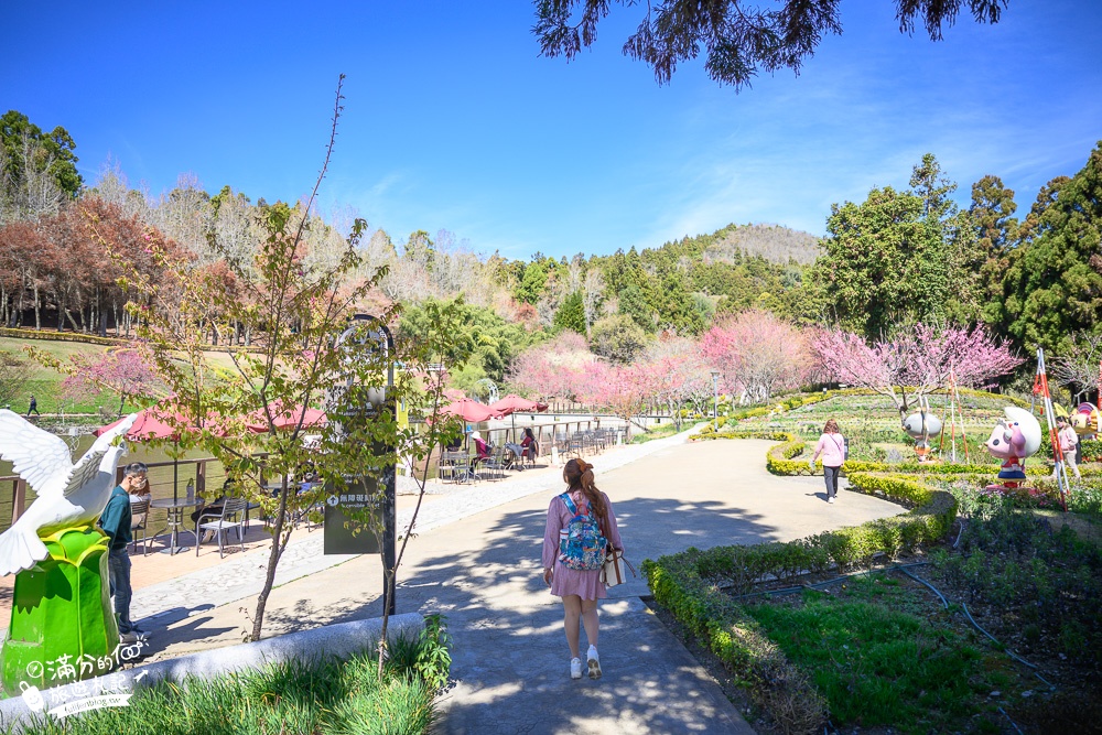 南投景點【清境小瑞士花園】2023門票資訊.拍OPEN醬,看水舞秀,順遊清境愛情故事館周邊景點攻略~南投最美彩虹傘小鎮!