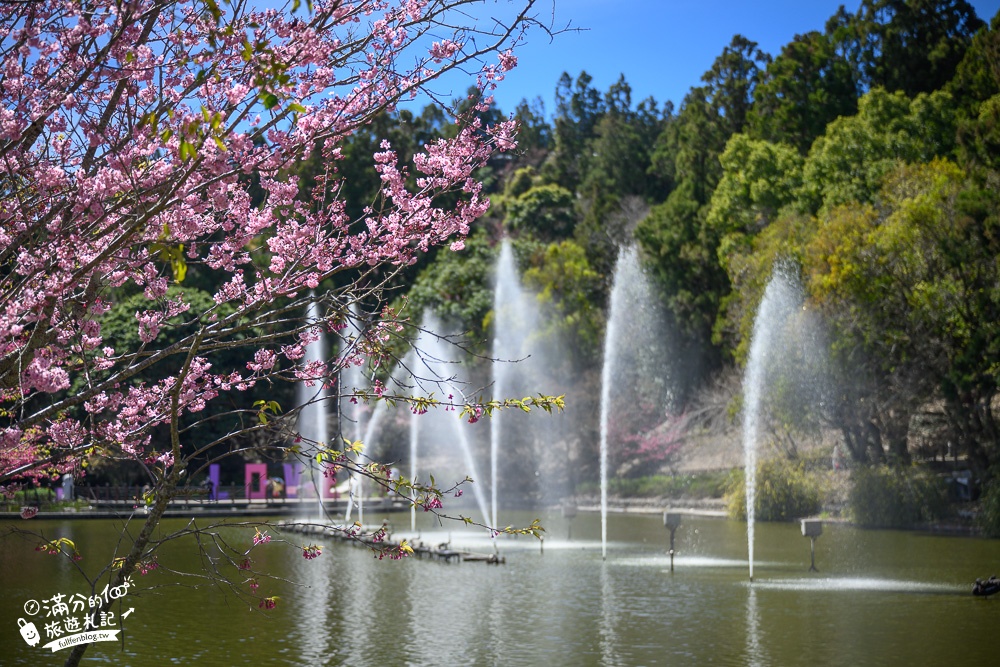 南投景點【清境小瑞士花園】2023門票資訊.拍OPEN醬,看水舞秀,順遊清境愛情故事館周邊景點攻略~南投最美彩虹傘小鎮!