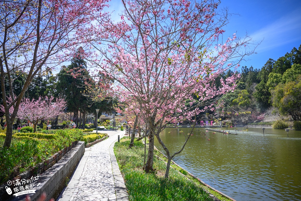 南投景點【清境小瑞士花園】2023門票資訊.拍OPEN醬,看水舞秀,順遊清境愛情故事館周邊景點攻略~南投最美彩虹傘小鎮!