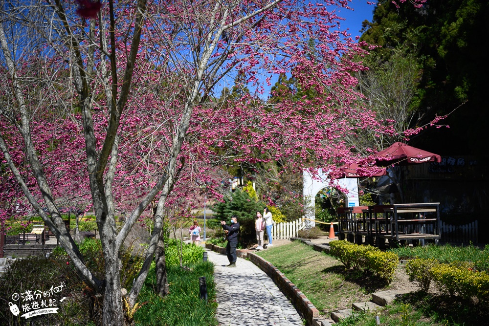 南投景點【清境小瑞士花園】2023門票資訊.拍OPEN醬,看水舞秀,順遊清境愛情故事館周邊景點攻略~南投最美彩虹傘小鎮!