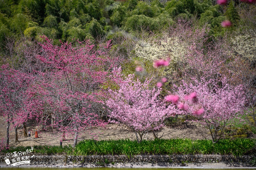 南投景點【清境小瑞士花園】2023門票資訊.拍OPEN醬,看水舞秀,順遊清境愛情故事館周邊景點攻略~南投最美彩虹傘小鎮!