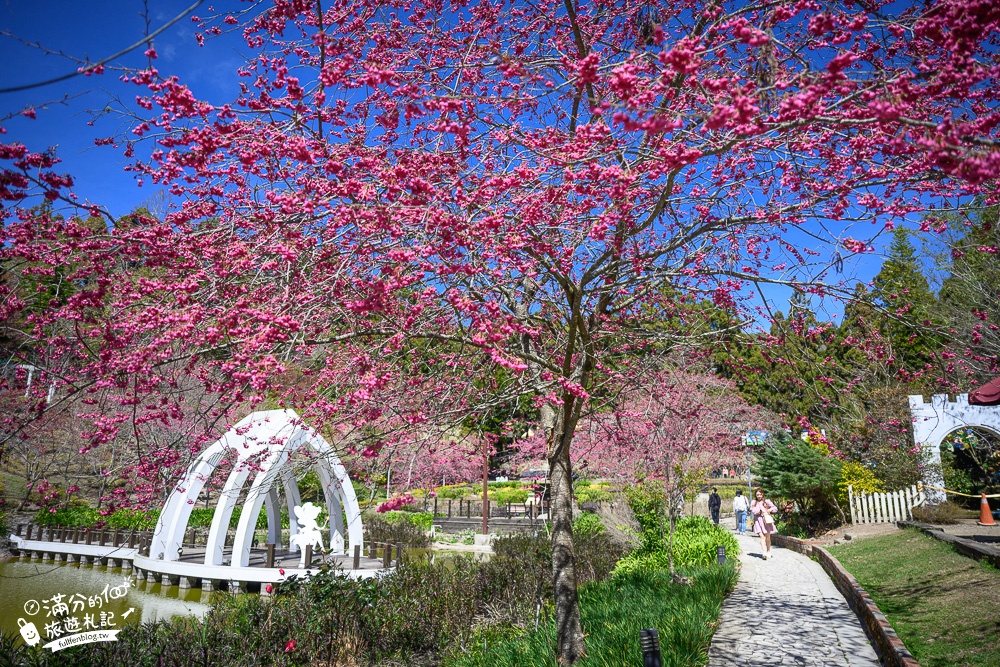 南投景點【清境小瑞士花園】2023門票資訊.拍OPEN醬,看水舞秀,順遊清境愛情故事館周邊景點攻略~南投最美彩虹傘小鎮!