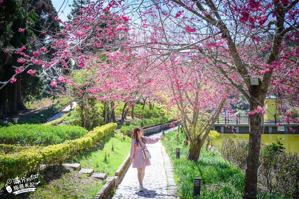 南投景點【清境小瑞士花園】2023門票資訊.拍OPEN醬,看水舞秀,順遊清境愛情故事館周邊景點攻略~南投最美彩虹傘小鎮!