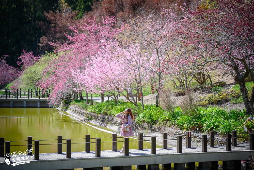 南投景點【清境小瑞士花園】2023門票資訊.拍OPEN醬,看水舞秀,順遊清境愛情故事館周邊景點攻略~南投最美彩虹傘小鎮!