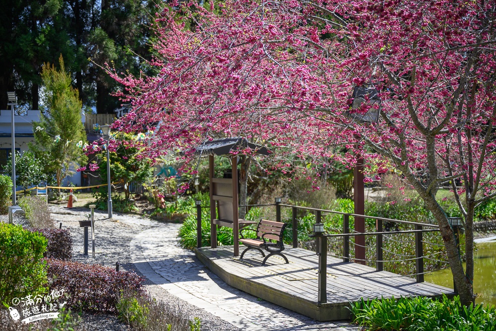 南投景點【清境小瑞士花園】2023門票資訊.拍OPEN醬,看水舞秀,順遊清境愛情故事館周邊景點攻略~南投最美彩虹傘小鎮!