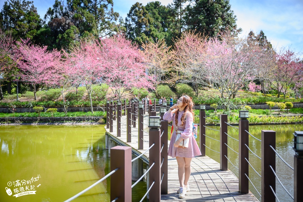 南投景點【清境小瑞士花園】2023門票資訊.拍OPEN醬,看水舞秀,順遊清境愛情故事館周邊景點攻略~南投最美彩虹傘小鎮!