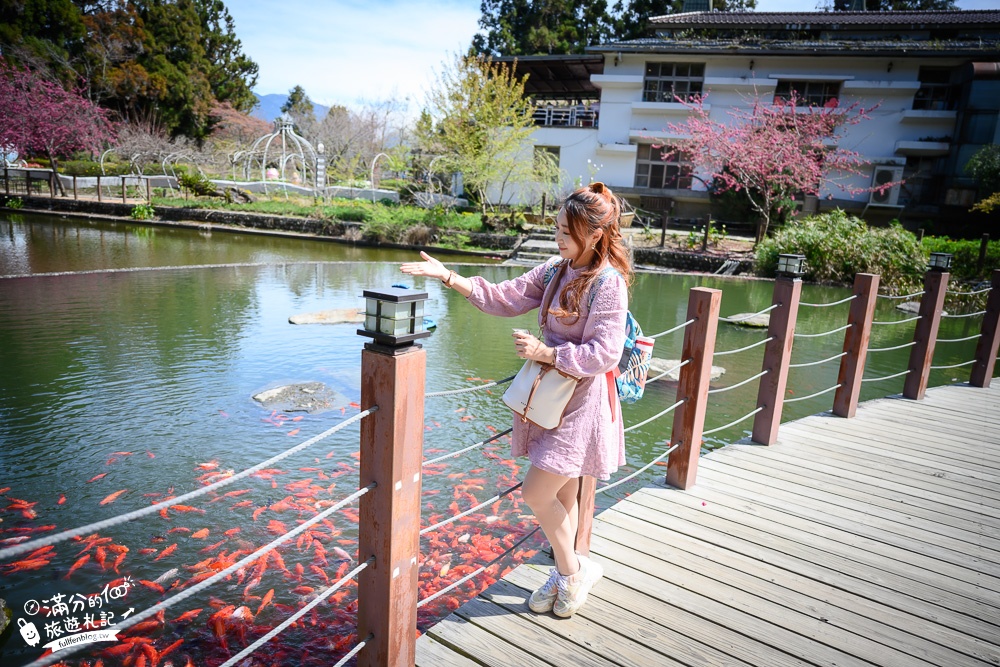 南投景點【清境小瑞士花園】2023門票資訊.拍OPEN醬,看水舞秀,順遊清境愛情故事館周邊景點攻略~南投最美彩虹傘小鎮!