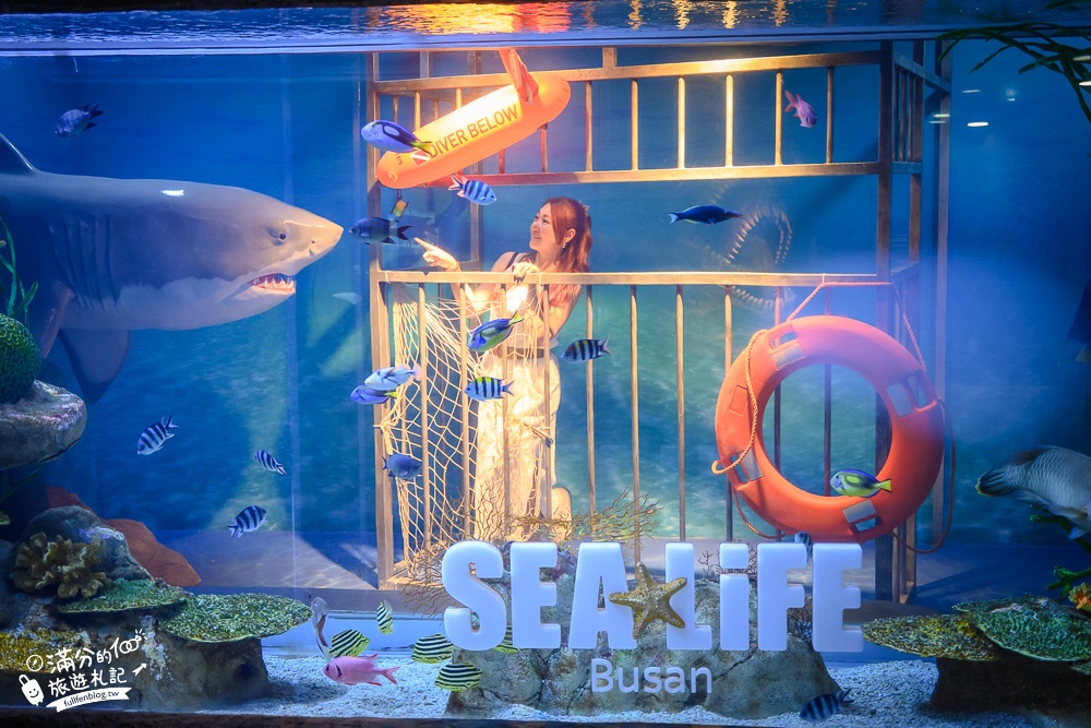 釜山景點》釜山水族館SEA LIFE BUSAN交通攻略.門票資訊~海雲台雨天備案景點,釜山親子景點,看企鵝.鯊魚~漫步海底隧道!