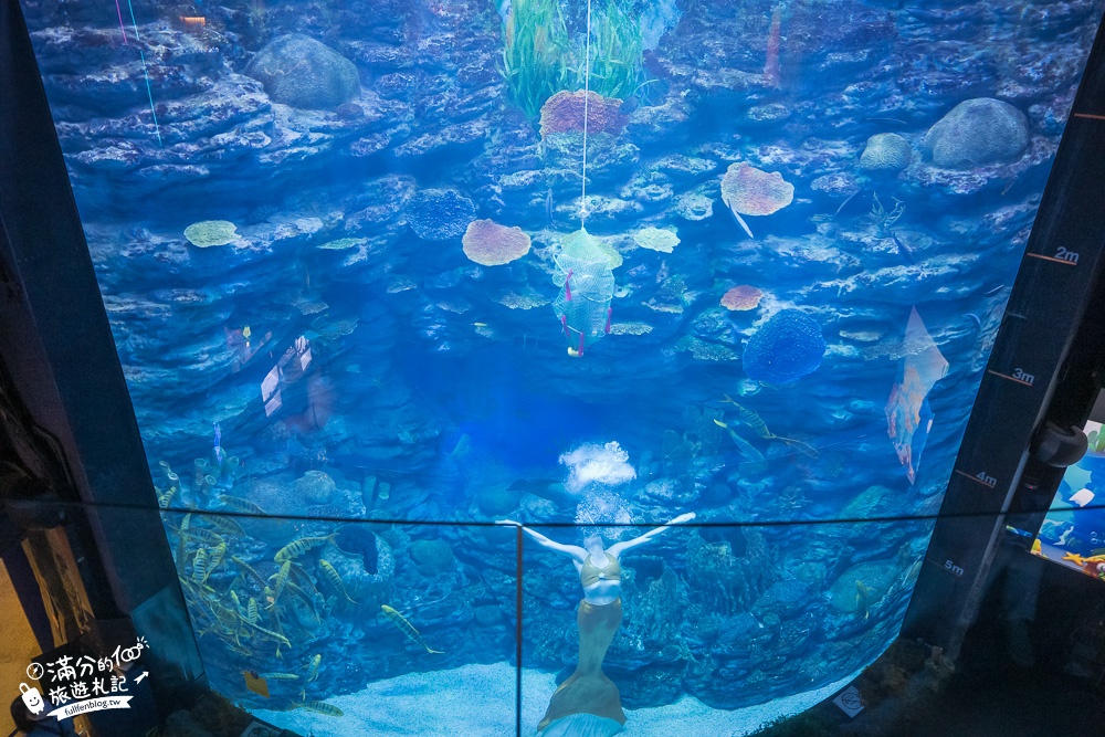 釜山景點》釜山水族館SEA LIFE BUSAN交通攻略.門票資訊~海雲台雨天備案景點,釜山親子景點,看企鵝.鯊魚~漫步海底隧道!