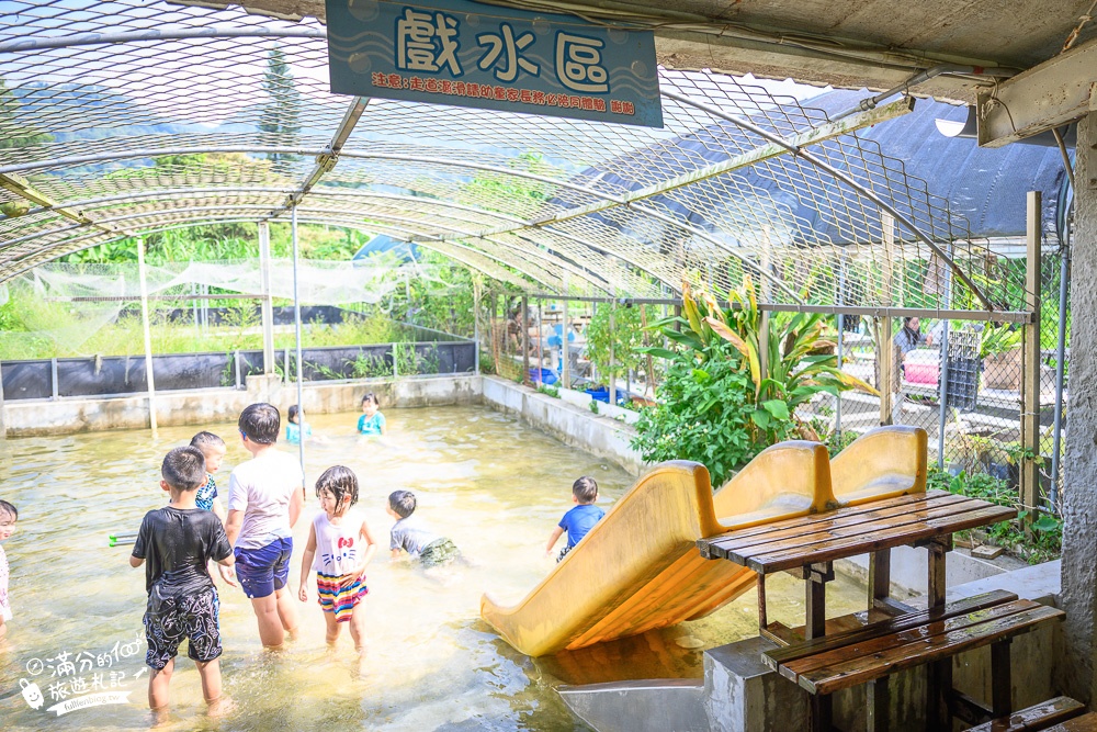 桃園【花鹿秘境李家摸蜆農場】大溪親子景點.餵水豚君梅花鹿.還能釣魚好玩耶!