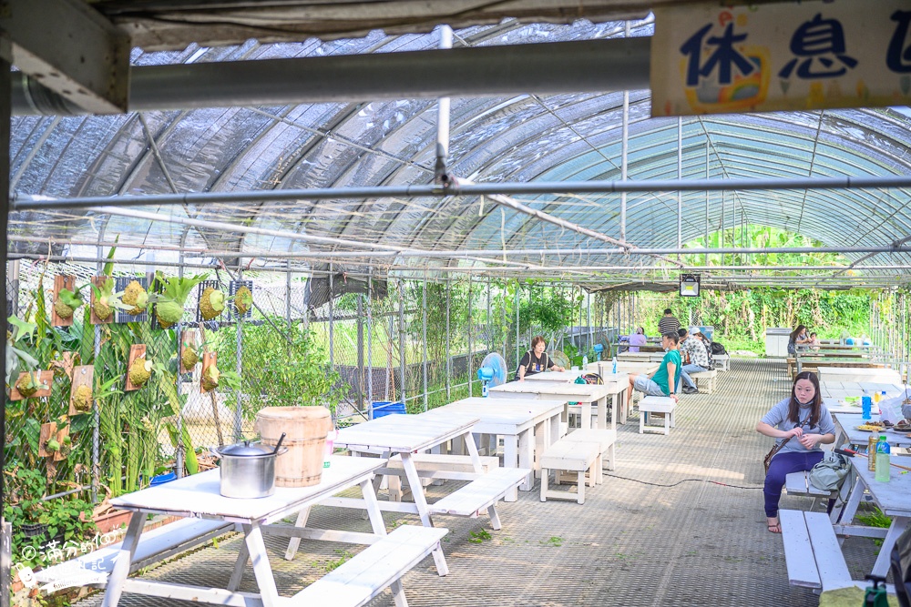 桃園【花鹿秘境李家摸蜆農場】大溪親子景點.餵水豚君梅花鹿.還能釣魚好玩耶!