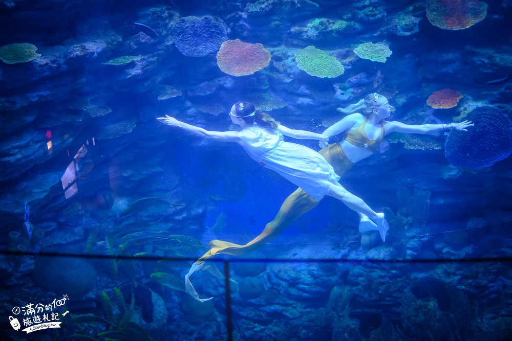 釜山景點》釜山水族館SEA LIFE BUSAN交通攻略.門票資訊~海雲台雨天備案景點,釜山親子景點,看企鵝.鯊魚~漫步海底隧道!