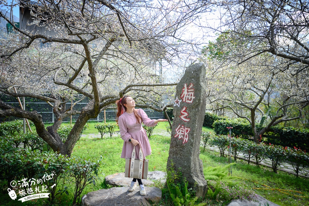 【水里景點一日遊】百年蛇窯.阿本農場櫻花季.巨無霸冒煙饅頭.古早味大享堡,水里賞花順遊路線攻略!