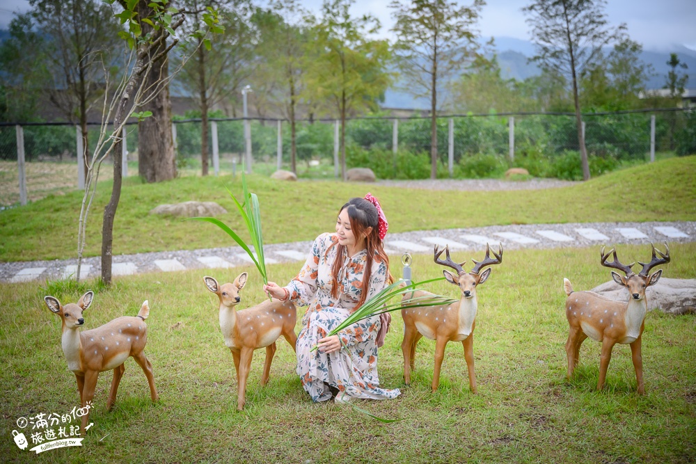 宜蘭景點|鹿爺爺|宜蘭餵鹿親子秘境,未滿2歲免費入園,看水豚泡澡,跳跳羊耍萌~還能喝咖啡下午茶!