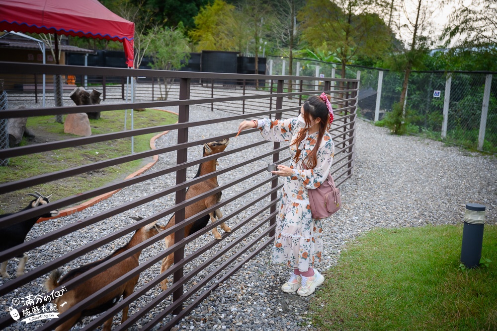 宜蘭景點|鹿爺爺|宜蘭餵鹿親子秘境,未滿2歲免費入園,看水豚泡澡,跳跳羊耍萌~還能喝咖啡下午茶!