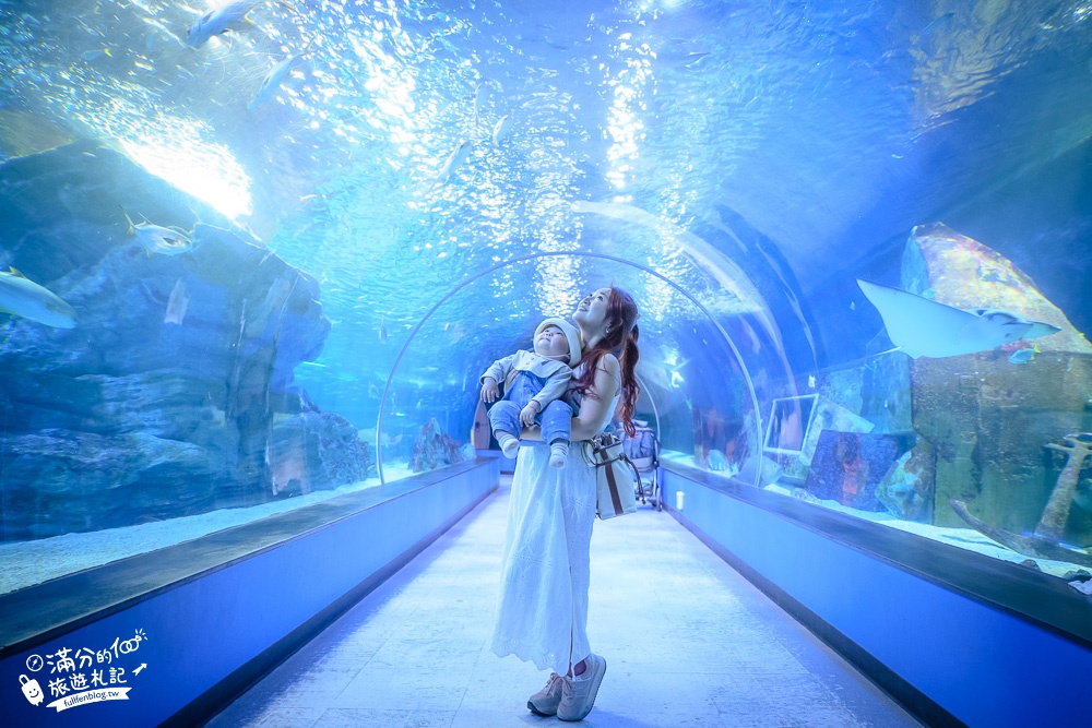 釜山景點》釜山水族館SEA LIFE BUSAN交通攻略.門票資訊~海雲台雨天備案景點,釜山親子景點,看企鵝.鯊魚~漫步海底隧道!