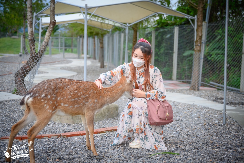 宜蘭景點|鹿爺爺|宜蘭餵鹿親子秘境,未滿2歲免費入園,看水豚泡澡,跳跳羊耍萌~還能喝咖啡下午茶!