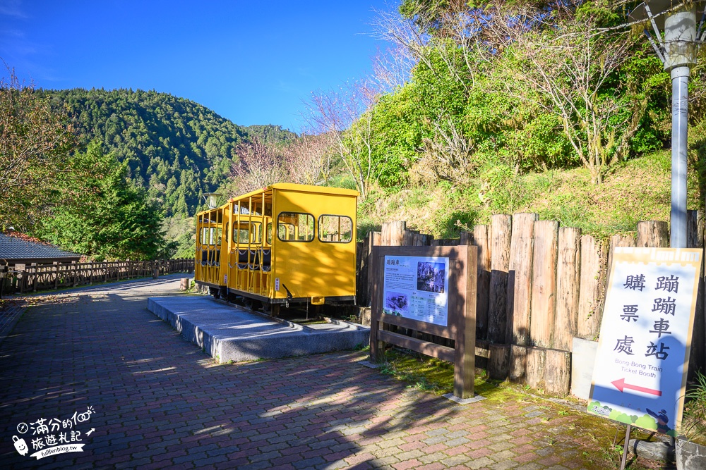 宜蘭太平山森林蹦蹦車玩樂購票攻略!貓頭鷹森林小火車.雲海步道,茂興站森林步道滿滿芬多精!