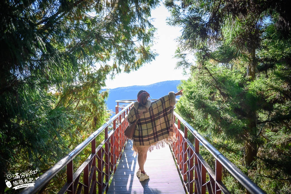 宜蘭太平山森林蹦蹦車玩樂購票攻略!貓頭鷹森林小火車.雲海步道,茂興站森林步道滿滿芬多精!