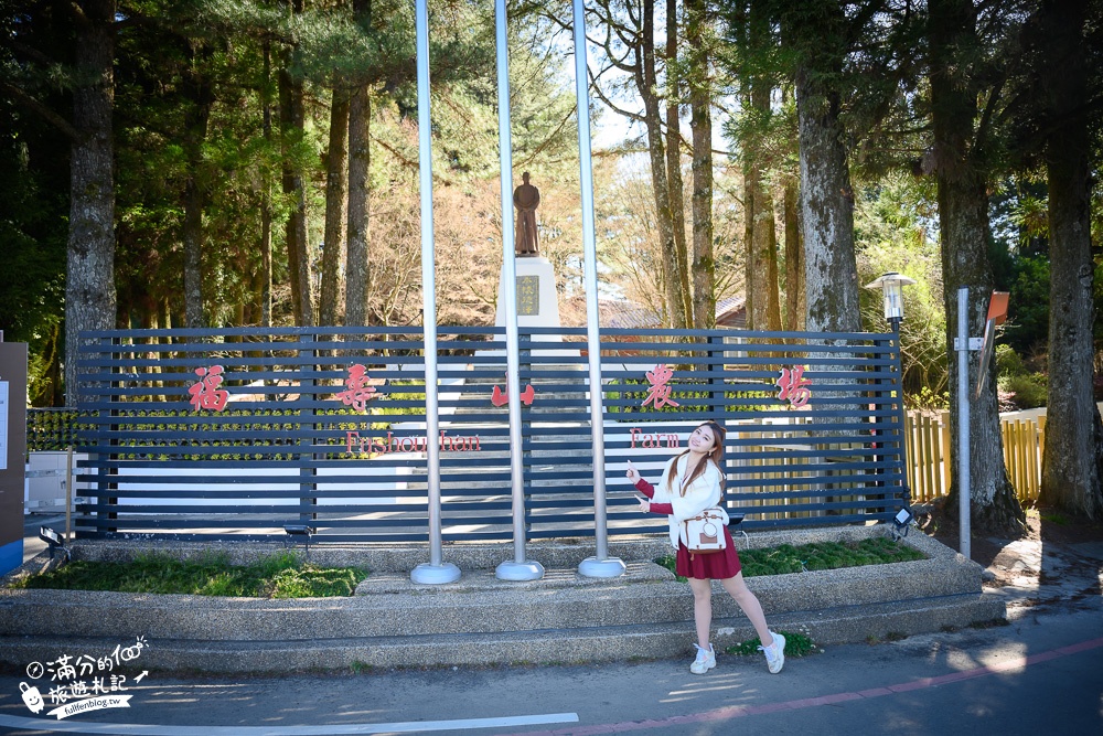 【2024福壽山農場一日遊】千櫻園.百櫻園賞櫻花.松廬賞楓.天池看雪山.夢幻蘋果村,距離天空最近休閒農場!